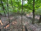 Lot #2 Bellinger Road - Photo 11