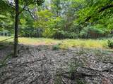 Lot #2 Bellinger Road - Photo 6