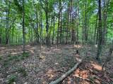 Lot #2 Bellinger Road - Photo 9