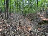 Lot #3 Bellinger Road - Photo 9