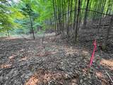 Lot #4 Bellinger Road - Photo 12