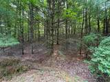 Lot #4 Bellinger Road - Photo 14