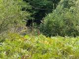 Lot #4 Bellinger Road - Photo 18