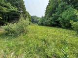 Lot #4 Bellinger Road - Photo 6