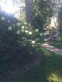 729 Eton Street - Photo 25