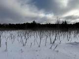 VL Houghton Lake Road - Photo 7