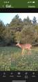 2554 Lee Derrer Road - Photo 9