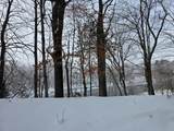 7696 Muskegon Boulevard - Photo 12