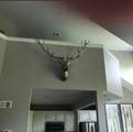 4600 3D Fazio Drive - Photo 9