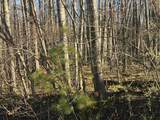 Lot 40 Squirrel Run - Photo 4