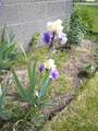 14 5th Street - Photo 24