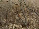 9593 Oakley Road - Photo 70