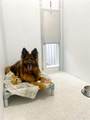 419 Juniper Street - Photo 25