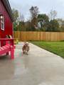 419 Juniper Street - Photo 28