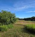 7202 21 Mile Road - Photo 55