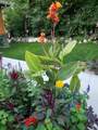 23536 Forest Shores Drive - Photo 41