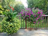 23536 Forest Shores Drive - Photo 43