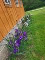 23536 Forest Shores Drive - Photo 46