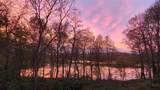 23536 Forest Shores Drive - Photo 54