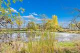 13278 9 Mile Road - Photo 38