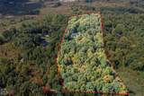 438 State Park Rd Road - Photo 5