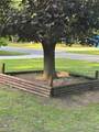 3171 Kooi Street - Photo 19