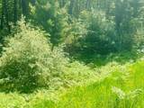Par A 15 Mile Road - Photo 3