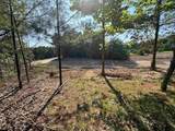 Lot #6 Bellinger Road - Photo 15