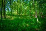 V/L 40A 168th Avenue - Photo 29