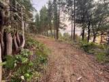 Lot 30 & 31 Lake Leelanau Drive - Photo 16