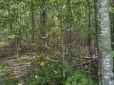 V/L Phelps Road - Photo 11