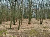 Lot E Big Sky Trail - Photo 27