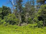 Parcel 1 M-37 - Photo 7