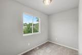 10880 Constant Drive - Photo 19