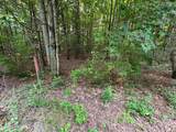 Lot #2 Bellinger Road - Photo 15