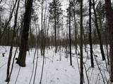 12871 Michigan 33 - Photo 24