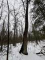 12871 Michigan 33 - Photo 43