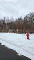 0 Ann Arbor Road - Photo 14