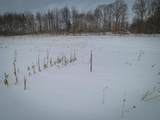 V/L Johnson Road - Photo 13