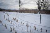 V/L Johnson Road - Photo 14
