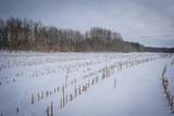 V/L Johnson Road - Photo 16