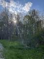 0 Fox Ridge 1-A Lane - Photo 6