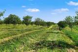 6629 Branch Road - Photo 5