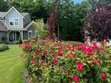 12951 Wildview Drive - Photo 70