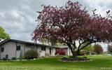 1115 Torpey Drive - Photo 2
