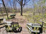 4650 Gambling Trail - Photo 42