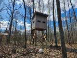 4650 Gambling Trail - Photo 45