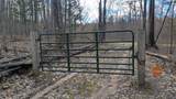 20179 Coates Highway - Photo 2
