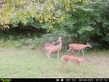20179 Coates Highway - Photo 31