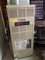 5339 Jerry Street - Photo 11